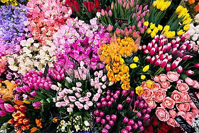 《炉石传说》被移出亚运会项目 因暴雪国服已关闭