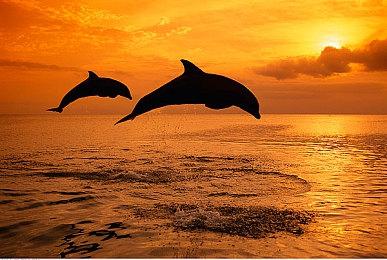 KK对战平台人气新图来袭！怪物有点多，要顶不住了！