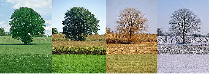 《死亡搁浅》Steam版新的更新正在开发中